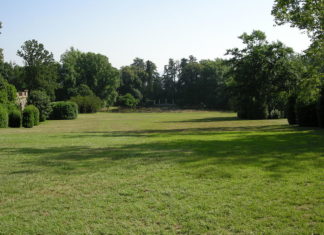 Cure per un prato perfetto 1121 0 Cure per un prato perfetto.JPG